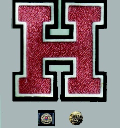 Volley ball Batch - Harker.jpg